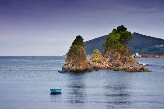 Manejo e Estrutura de Viveiros: Dicas para Otimizar a Produção