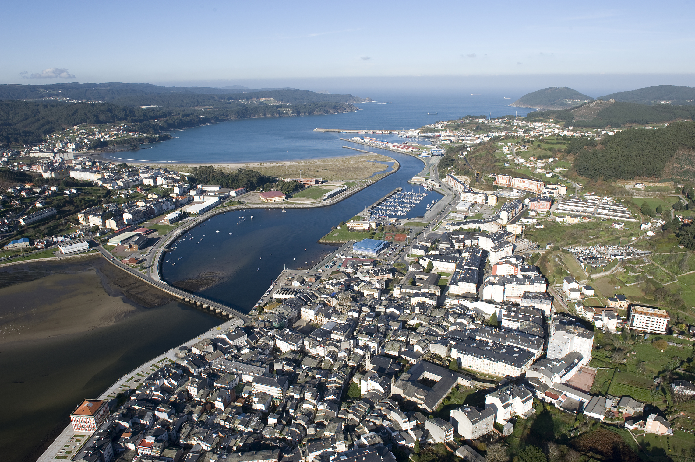 Guia Completo: Como Montar um Viveiro de Mudas Frutíferas