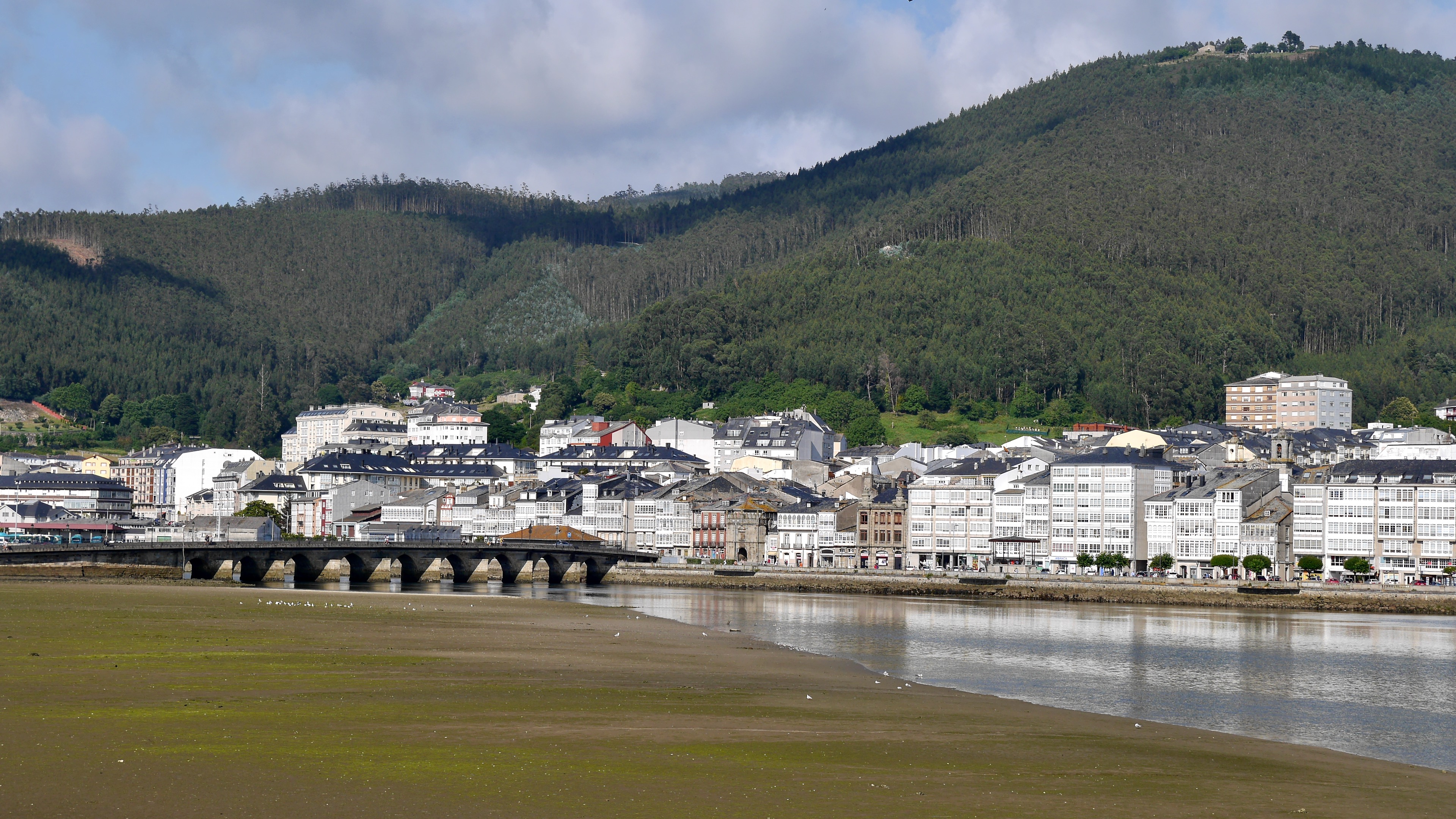 Viveiros de Animais: Tipos e Cuidados Essenciais para Criação em Cativeiro