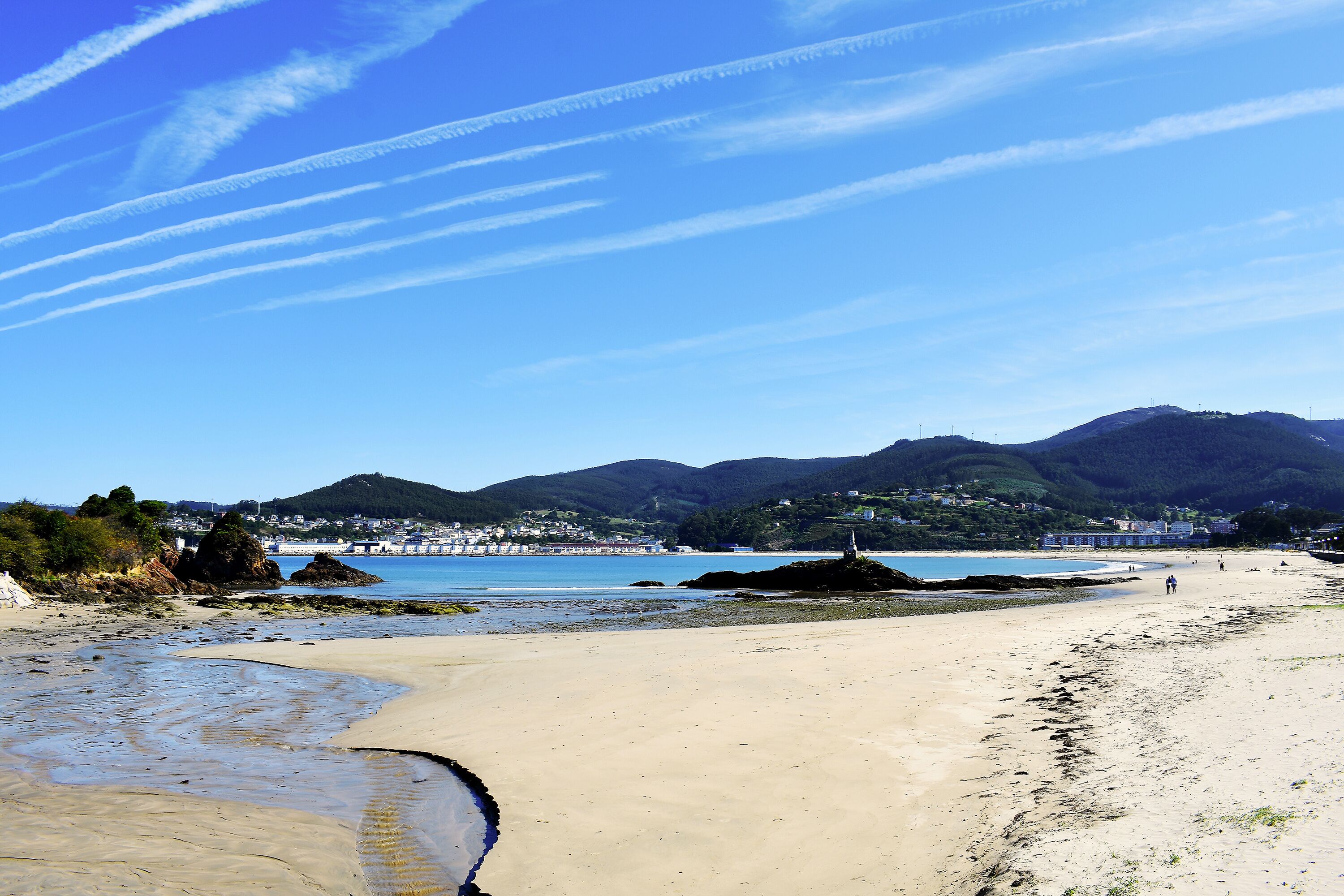 Viveiro de Espera: A Importância e Como Implementar Corretamente