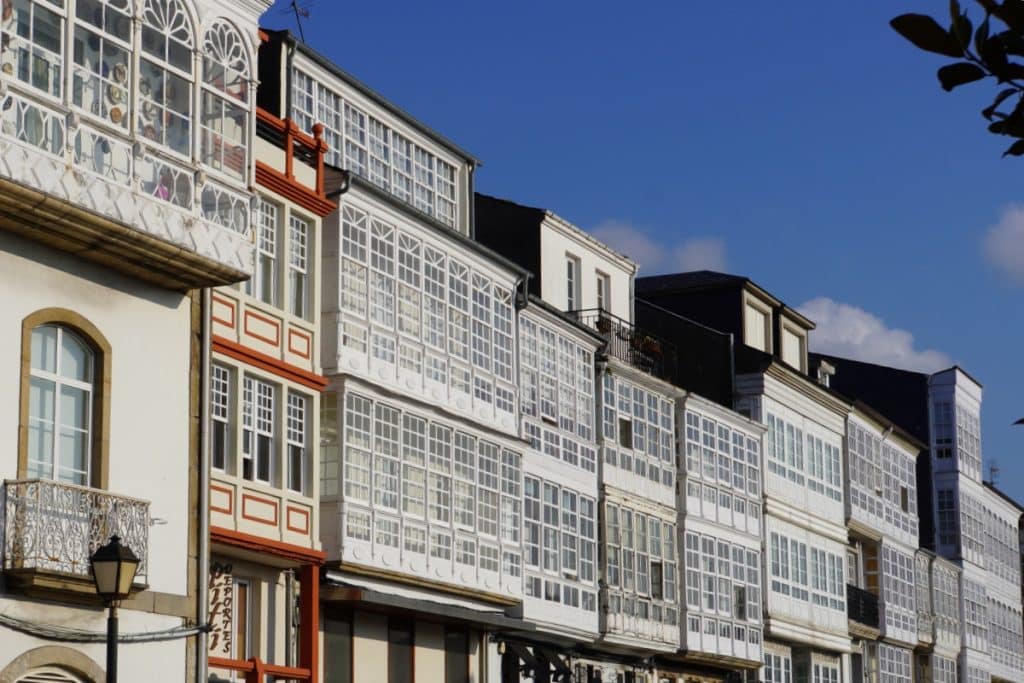 Manejo e Estrutura de Viveiros: Dicas para Otimizar a Produção