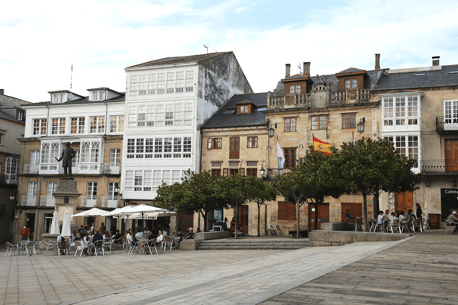 Viveiros de Animais: Tipos e Cuidados Essenciais para Criação em Cativeiro