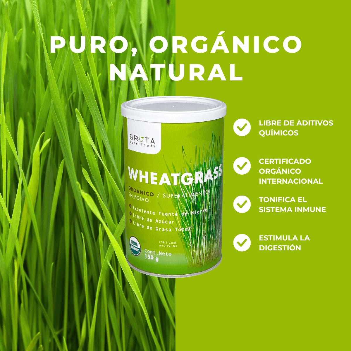 Receitas de Suco de Wheatgrass: Combinações Deliciosas e Saudáveis