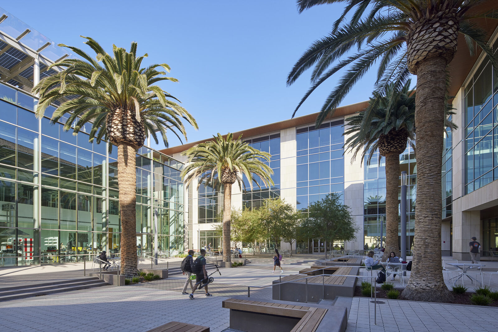 Como Escolher o Shampoo Sem Sulfato Ideal: Dicas de Especialistas