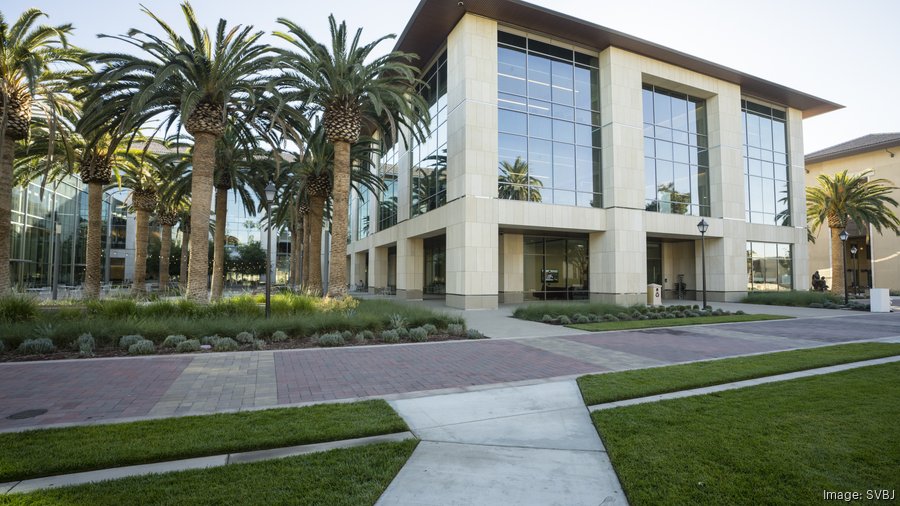 Shampoo Sem Sulfato vs. Com Sulfato: Entenda as Diferenças e Qual Escolher