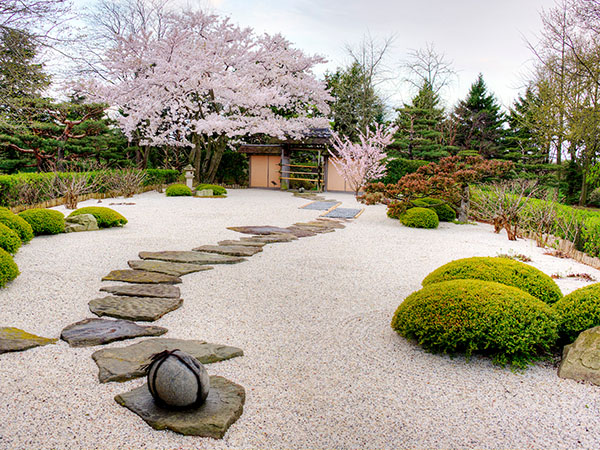 zen garden