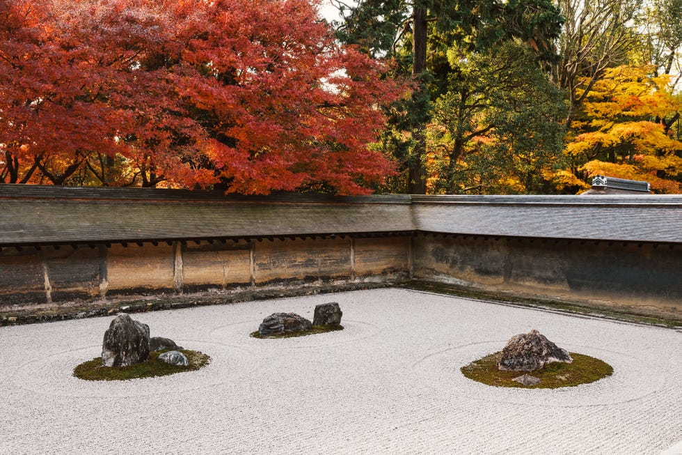 Guia Completo: Como Criar Seu Próprio Jardim Zen em Casa