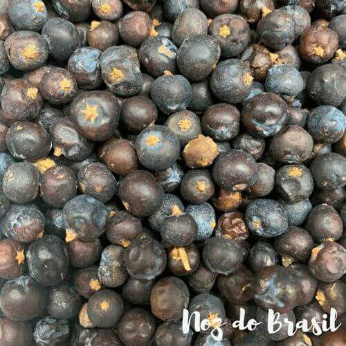 Receitas com Zimbro: Da Carne de Caça ao Gin Tônica Perfeito