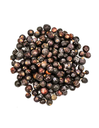 Zimbro na Medicina Natural: Benefícios e Como Usar com Segurança