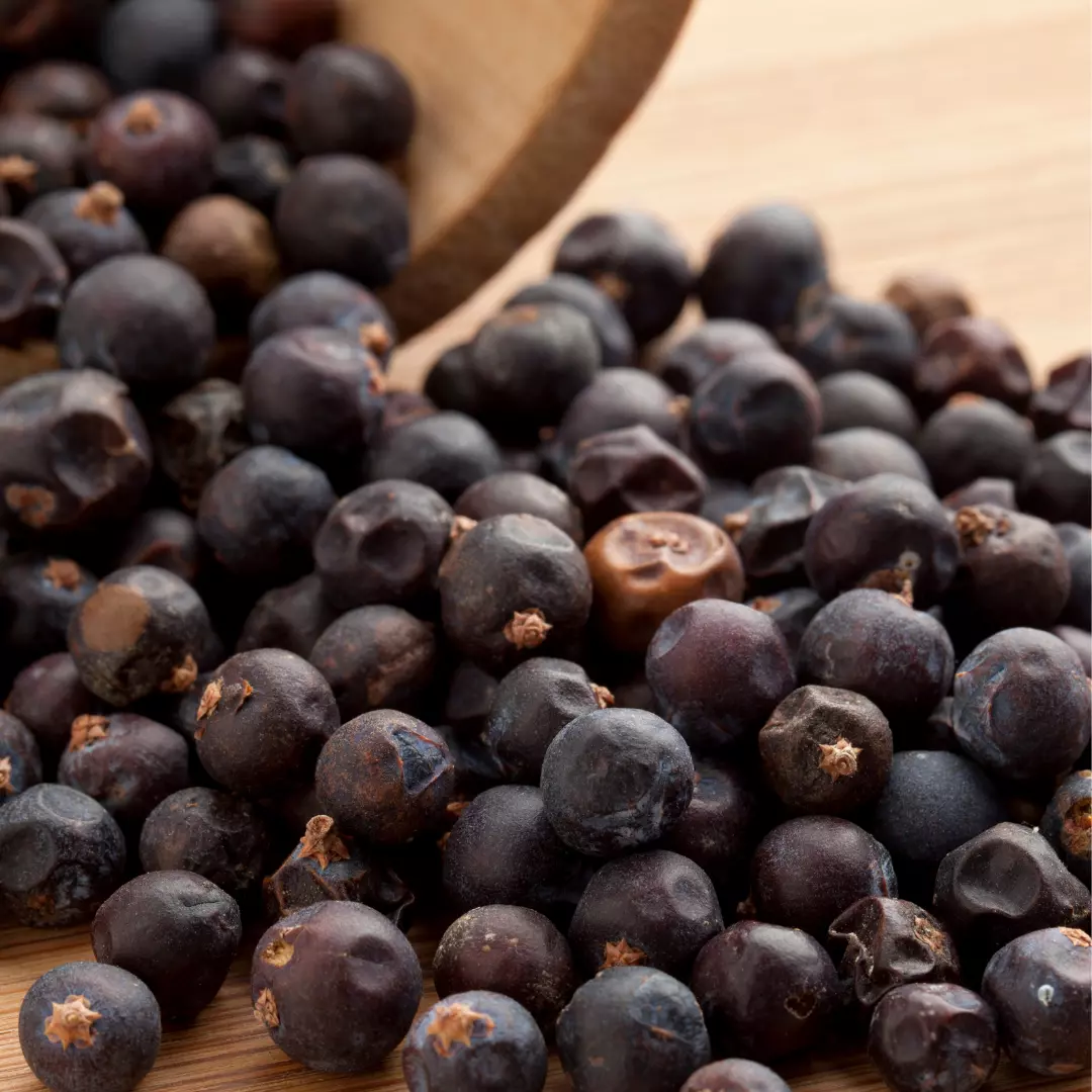 Zimbro na Medicina Natural: Benefícios e Como Usar com Segurança