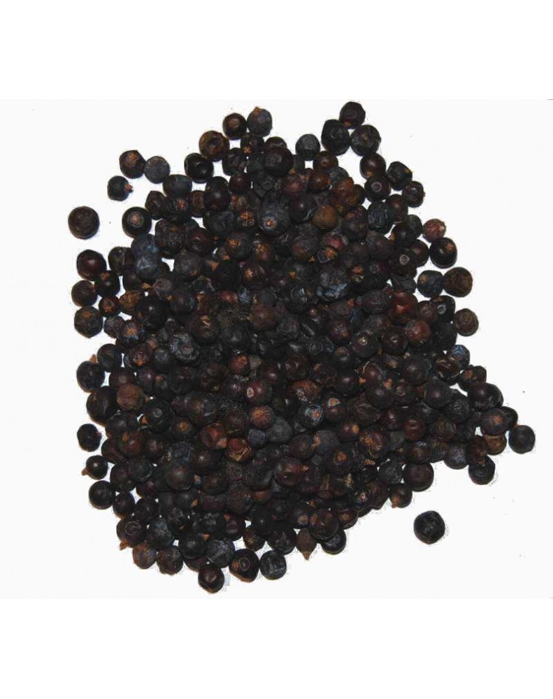 Guia Completo para Comprar Zimbro: Onde Encontrar e Qualidade